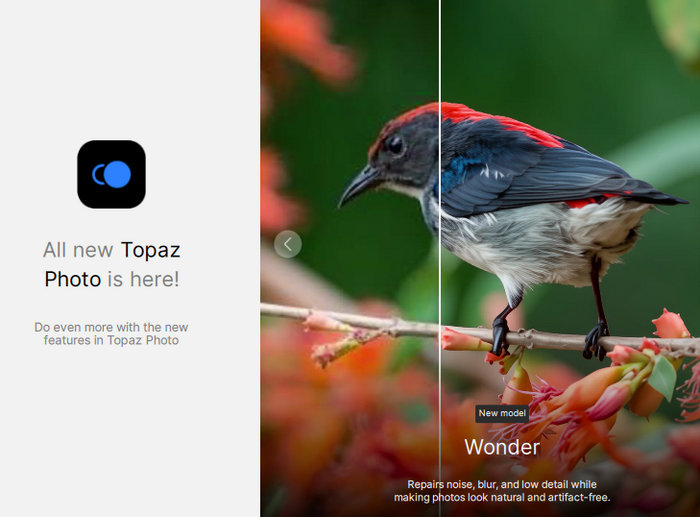 Topaz Photo Pro 1.6.1